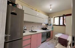 Apartament de 2 camere, 51 mp, curte 27 mp, zona Parc Bazilescu