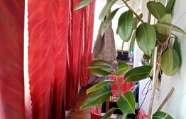 Apartament de 3 camere, decomandat, 76 mp, zona Kaufland Colentina