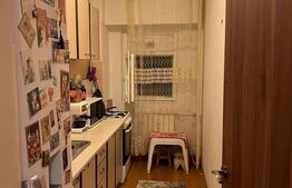 Garsoniera 41 mp, etaj intermediar, Campia Libertatii