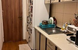 Garsoniera 41 mp, etaj intermediar, Campia Libertatii