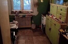 Apartament de 2 camere, 47 mp, parter, stradal, Pajura