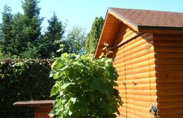 Casa 4 camere, teren de 450mp, zona Otopeni