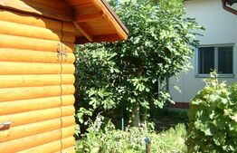 Casa 4 camere, teren de 450mp, zona Otopeni