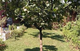 Casa 4 camere, 230 mp, teren 525 mp, zona Otopeni