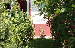 Casa 4 camere, 230 mp, teren 525 mp, zona Otopeni