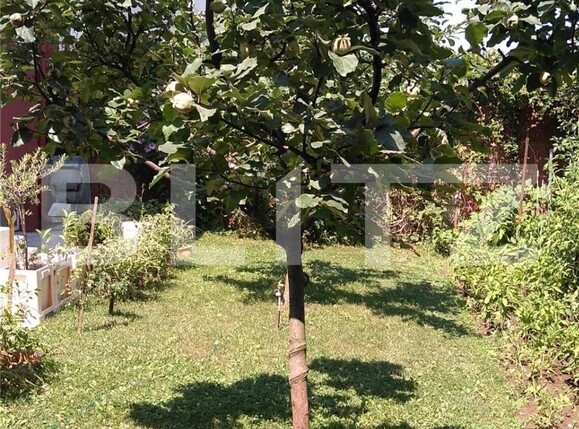 Casa de vânzare 4 camere Otopeni - 98232CV | BLITZ București | Poza13