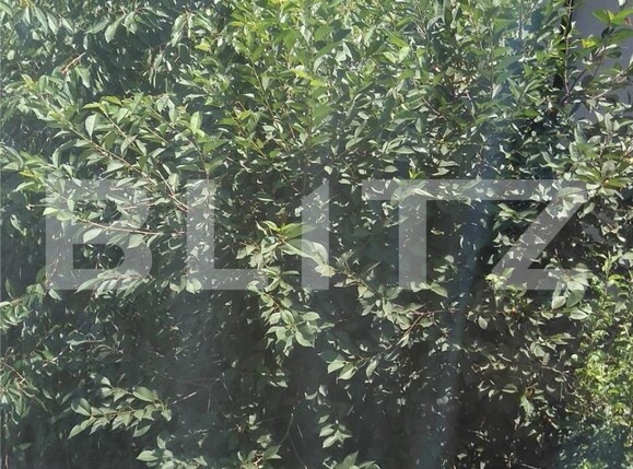 Casa de vânzare 4 camere Otopeni - 98232CV | BLITZ București | Poza14