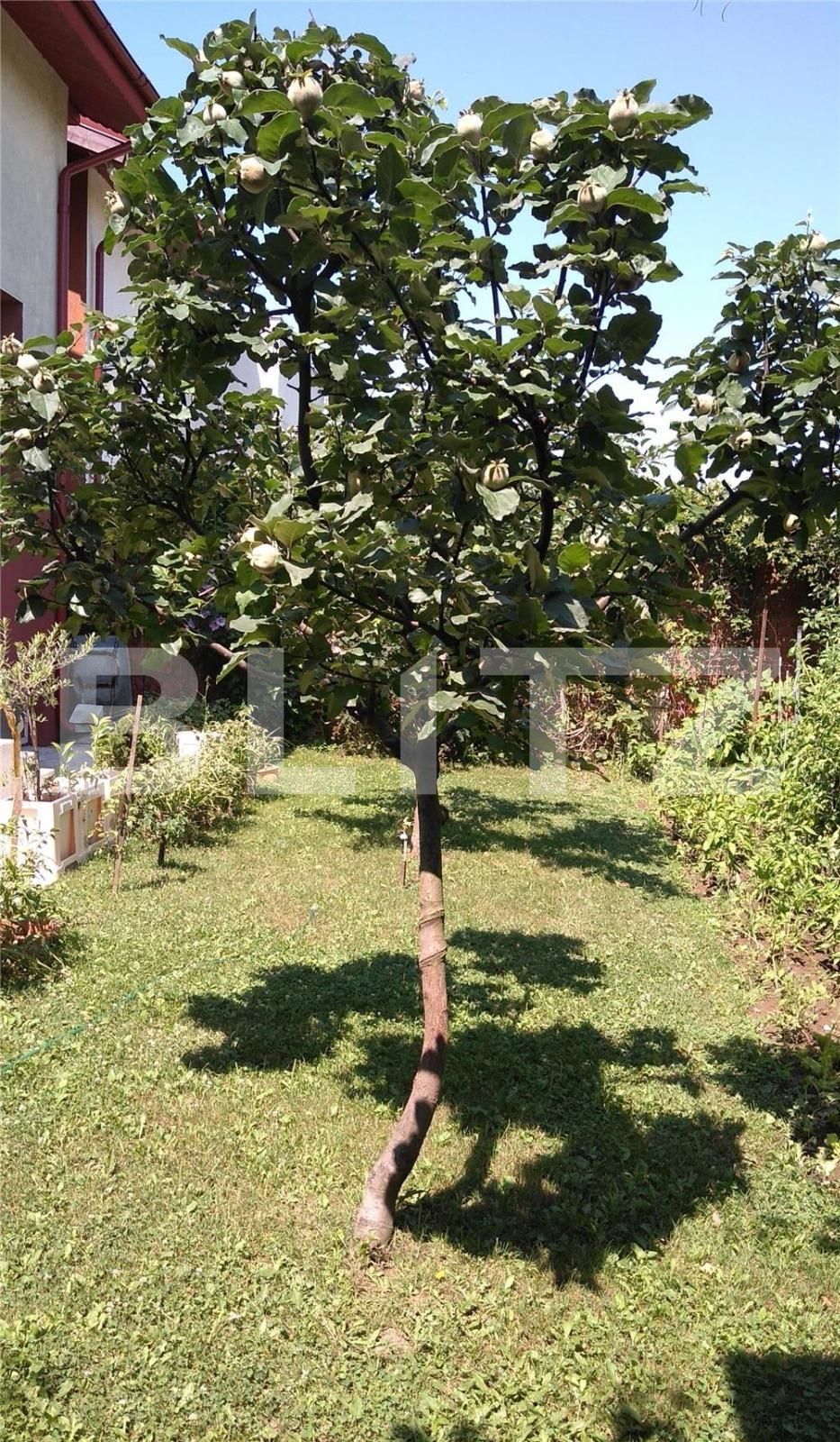 Casa de vânzare 4 camere Otopeni - 98232CV | BLITZ București | Poza13