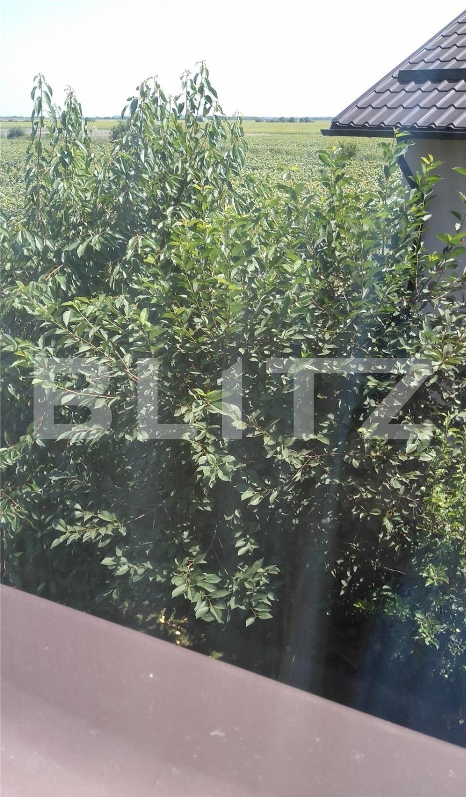 Casa de vânzare 4 camere Otopeni - 98232CV | BLITZ București | Poza14