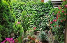 Casa individuala cu 5 camere, 150 mp, teren 150 mp, Voluntari