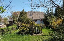 Casa 5 camere, 1338 mp teren, Tunari 