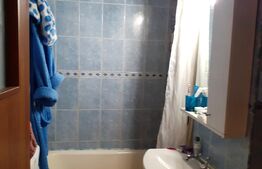 Apartament 2 camere, 49 mp, etaj intermediar, Teiul Doamnei