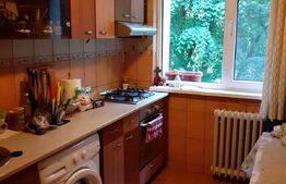 Apartament 2 camere, 49 mp, etaj intermediar, Teiul Doamnei