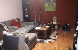 Apartament 2 camere, 49 mp, etaj intermediar, Teiul Doamnei