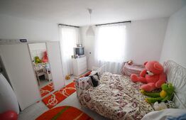 Casă D+P+E+M, 381 mp utili, 370 mp teren, Valea Roșie