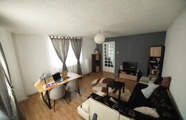 Casă D+P+E+M, 381 mp utili, 370 mp teren, Valea Roșie