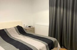 Apartament modern, 2 camere, 53 mp, zona Parcul Romanescu