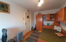 Apartament de 2 camere, 55 mp, semidecomandat, Bulevardul Dacia