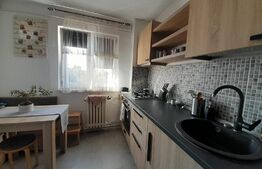 Apartament de 2 camere, 55 mp, semidecomandat, Bulevardul Dacia