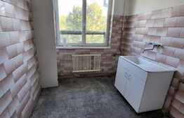 Apartament 2 camere, balcon, zona Gradina Botanica