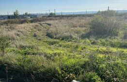 Teren intravilan 5200 mp, Brădești