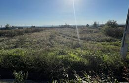 Teren intravilan 5200 mp, Brădești