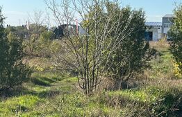 Teren intravilan 5200 mp, Brădești