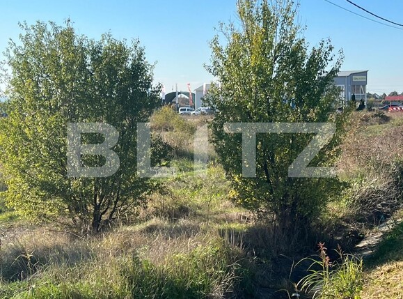 Teren de vânzare Vest - 100162TV | BLITZ Craiova | Poza7