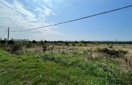 Teren intravilan 4.965 mp, Brădești