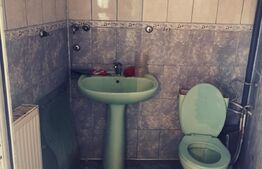 Casa P+1 210 mp utili, 346 mp teren,zona Piata Mare!