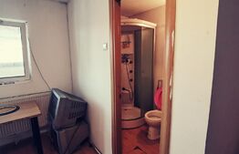 Casa P+1 210 mp utili, 346 mp teren,zona Piata Mare!