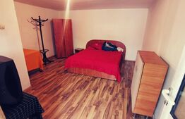 Casa P+1 210 mp utili, 346 mp teren,zona Piata Mare!