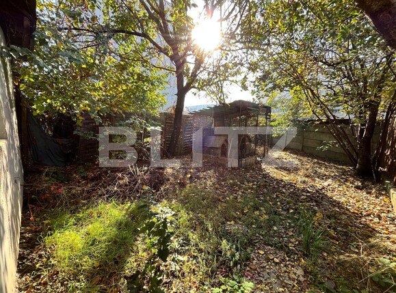 Casa de vânzare 4 camere 1 Mai - 100724CV | BLITZ Craiova | Poza14