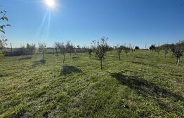 Teren intravilan 7788 mp, Mischii, sat Gogosesti