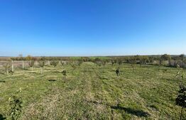 Teren intravilan 7788 mp, Mischii, sat Gogosesti