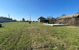 Teren intravilan 7788 mp, Mischii, sat Gogosesti