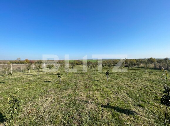 Teren de vânzare Nord-Est - 100836TV | BLITZ Craiova | Poza1