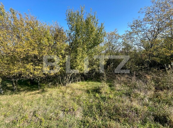 Teren de vânzare Nord-Est - 100836TV | BLITZ Craiova | Poza9