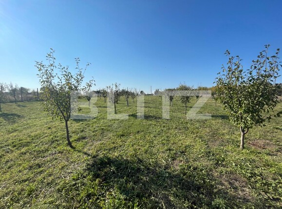 Teren de vânzare Nord-Est - 100836TV | BLITZ Craiova | Poza6