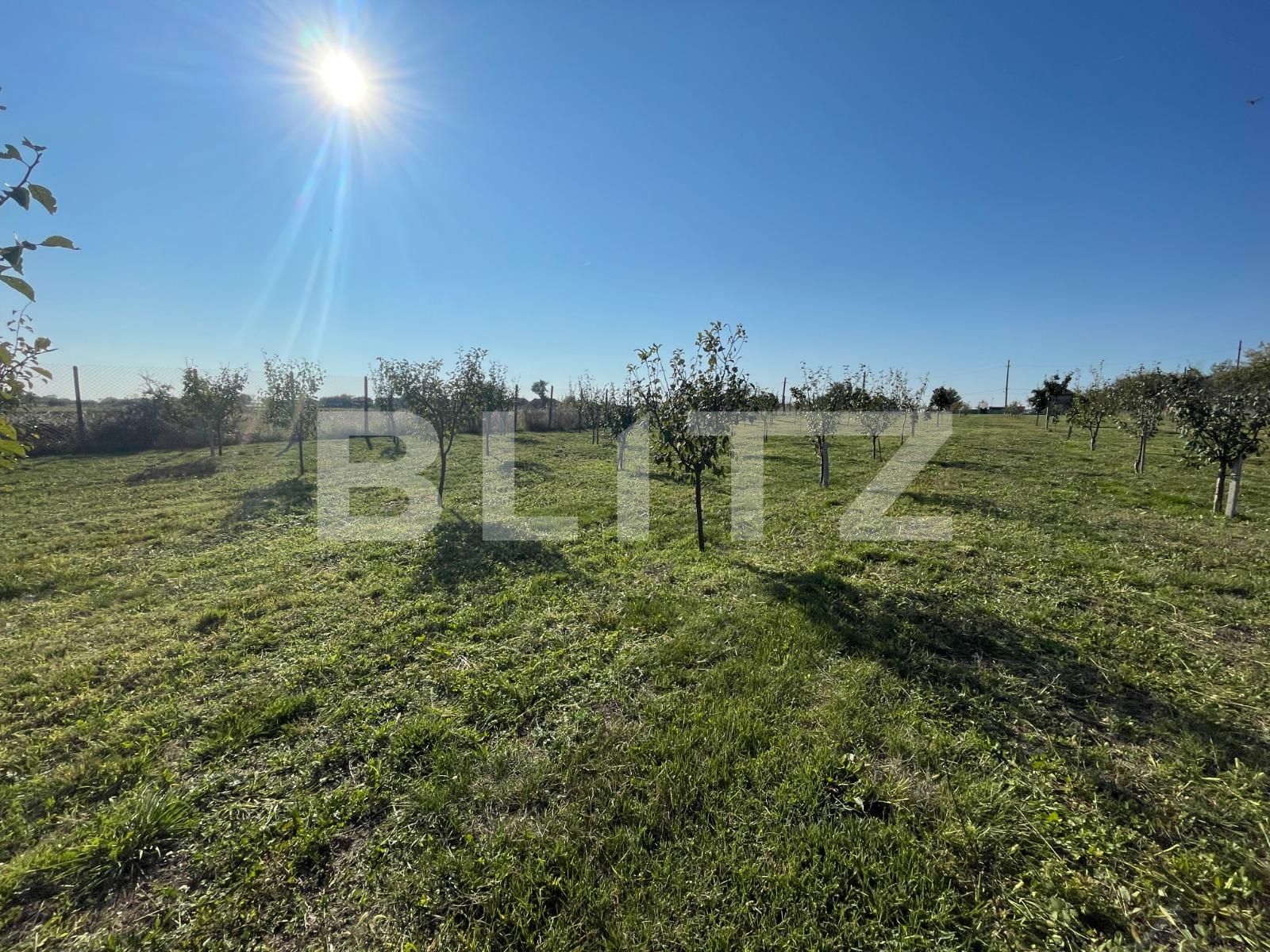 Teren de vânzare Nord-Est - 100836TV | BLITZ Craiova | Poza5