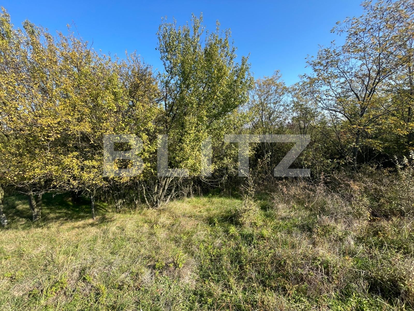 Teren de vânzare Nord-Est - 100836TV | BLITZ Craiova | Poza9