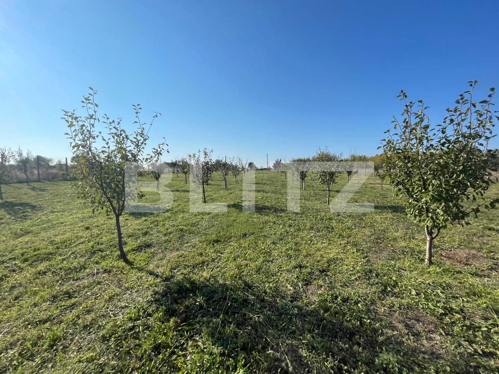 Teren de vânzare Nord-Est - 100836TV | BLITZ Craiova | Poza6