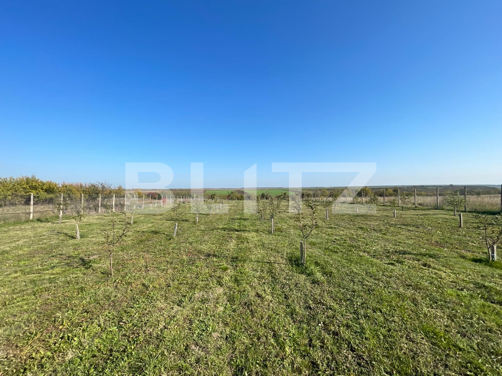 Teren de vânzare Nord-Est - 100836TV | BLITZ Craiova | Poza7