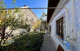 Teren cu casă demolabilă, toate utilitățile și asfalt, 365 mp, Catargiu