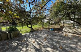 Casa 300 mp, 430 mp teren, zona Liceul Brancusi