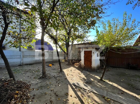 Casa de vânzare 3 camere Lascar Catargiu - 101125CV | BLITZ Craiova | Poza8