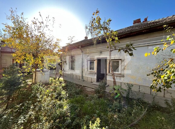 Casa de vânzare 3 camere Lascar Catargiu - 101125CV | BLITZ Craiova | Poza5