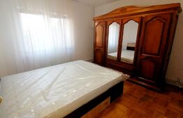 Apartament de 2 camere, centrala termica, aer conditionat, cartier Brazda lui Novac