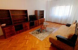 Apartament de 2 camere, centrala termica, aer conditionat, cartier Brazda lui Novac