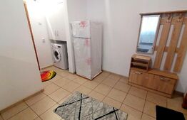 Apartament de 2 camere, centrala termica, aer conditionat, cartier Brazda lui Novac
